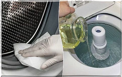 3 solutions that clean the mold from the washing machine