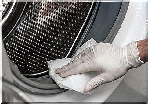 Clean the mold from the washing machine with vinegar