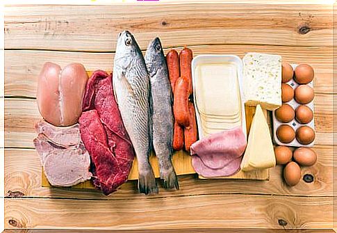 Hyperprotein diet on the list of habits for increasing muscle mass