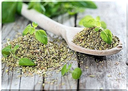 Oregano on the list of foods that regulate the level of sodium in the body