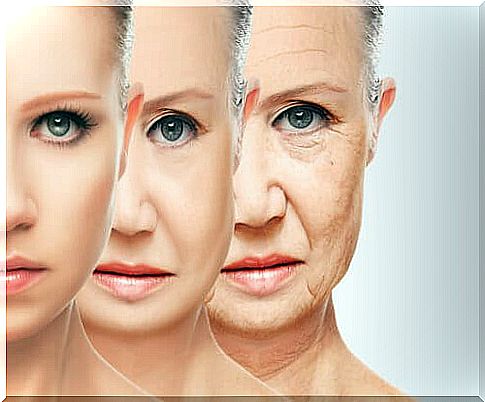 Collagen levels decrease with age