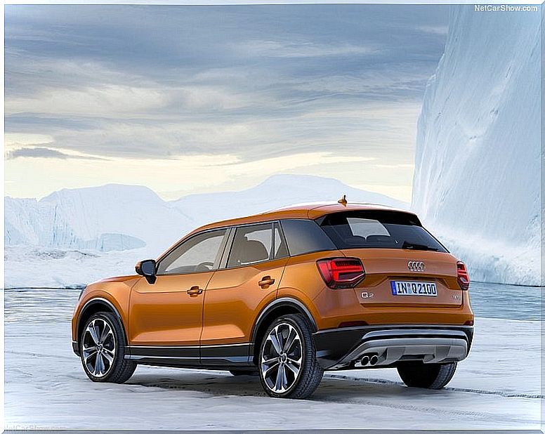 Audi Q2 2017: rear