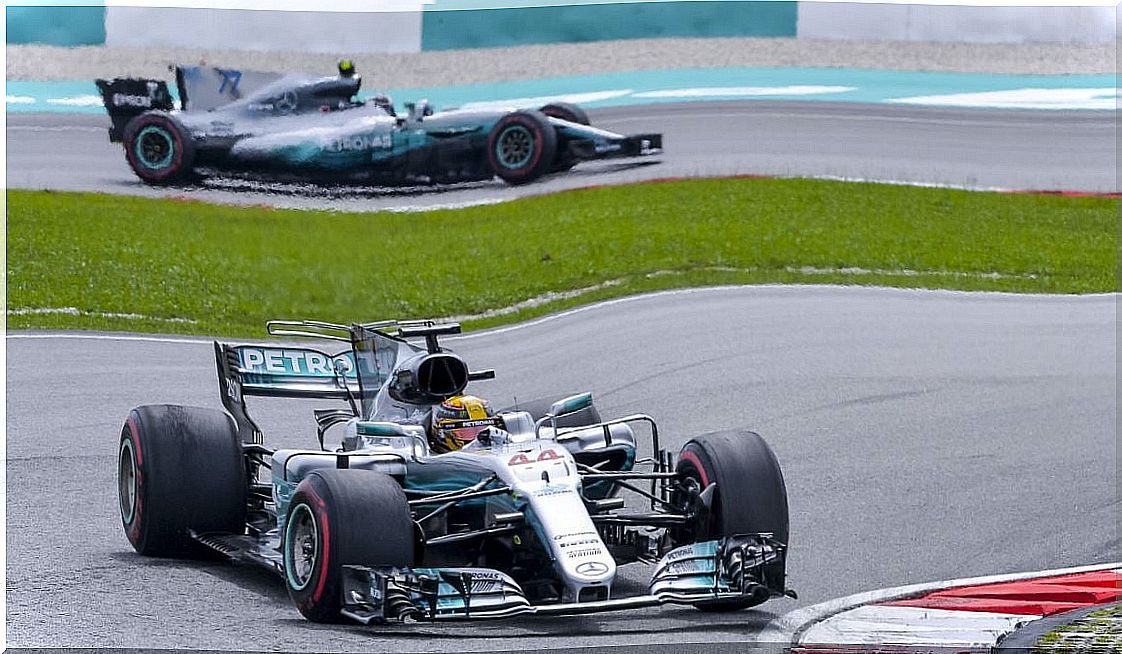 Mercedes F1 Hamilton Team 