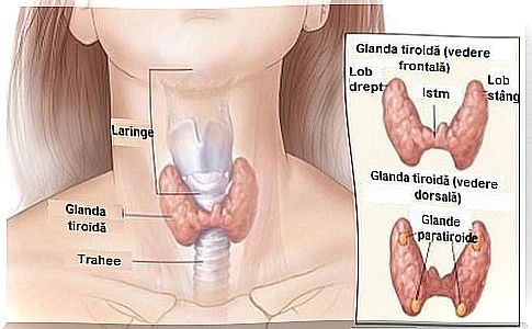 Hormonal dysfunctions, causes and symptoms