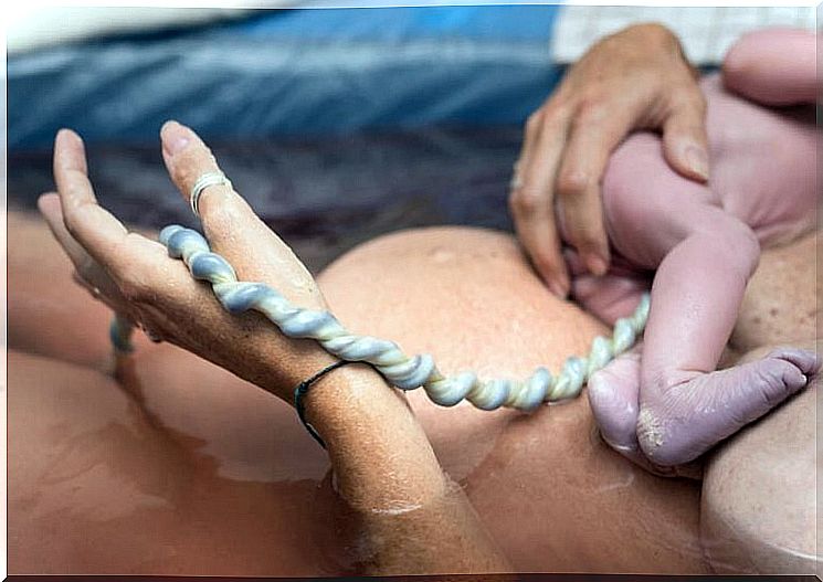 Donating blood from the umbilical cord