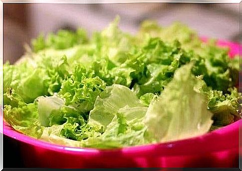 Bowl with iceberg lettuce