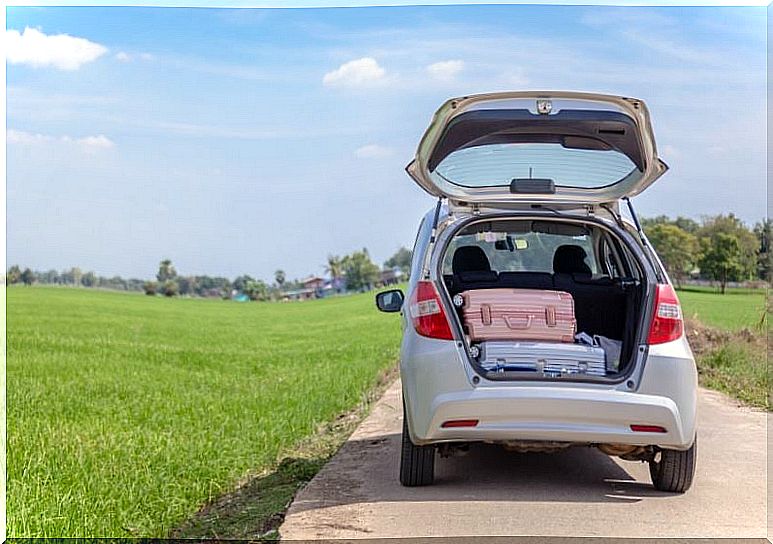 trunk of our car options