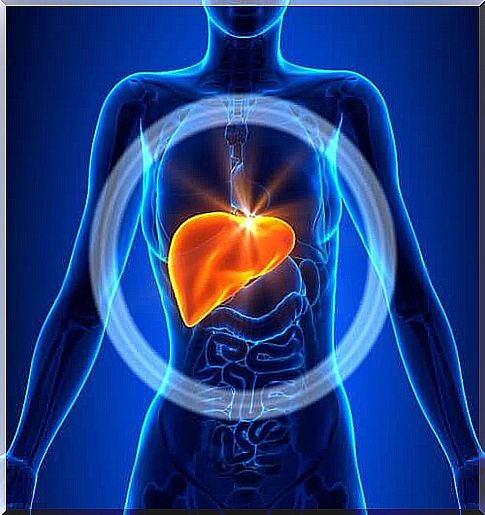 It is very important to have a healthy liver