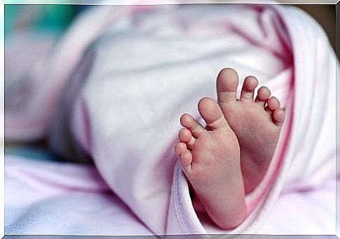 Newborn baby's feet