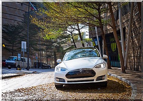 Tesla Model S in China