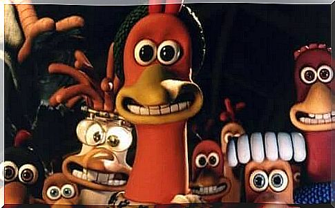 chicken run