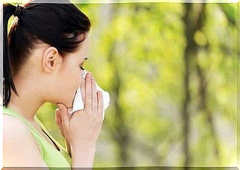 The best remedies for pollen allergy