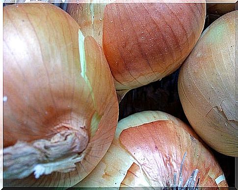 Onions remove residues from the body