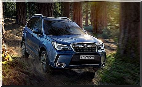 Subaru Forester.