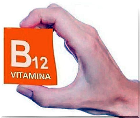 Hand holding a cube that says vitamin B12